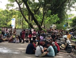 Penertiban Ratusan PKL di Jalan M Isja Untan Hampir Ricuh
