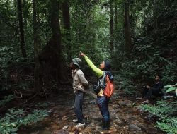 Mathias Aktivis Sosial & Lingkungan Suarakan Pentingnya Pelestarian Hutan untuk Cegah Banjir di Kalbar