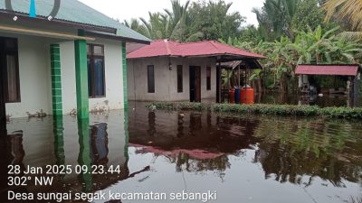 Banjir di Desa Sungai Segak Rendam Puluhan Rumah, Aktivitas Warga Lumpuh