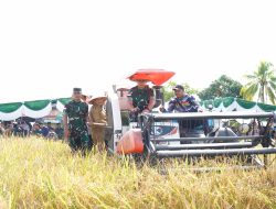 Pangdam bersama Forkopimda Kalbar Ikuti Panen Raya Padi Bersama Presiden RI