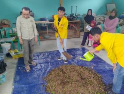 Teknologi Co-Compost Biochar, Solusi Berkelanjutan pada Budidaya Sayuran di Lahan Pasang Surut Sungai Rengas