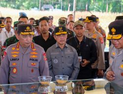 Kapolri Turun Langsung Cek Lokasi Panen Raya Jagung di Kalbar