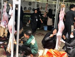 Terbanyak Kumpulkan Hewan Kurban, Masjid Ismuhu Yahya Kumpulkan Ribuan Hewan Kurban