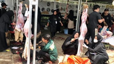 Terbanyak Kumpulkan Hewan Kurban, Masjid Ismuhu Yahya Kumpulkan Ribuan Hewan Kurban