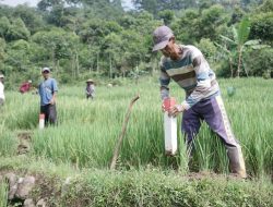 GEMAPATAS Akan Dicanangkan Serentak di 23 Kabupaten/Kota, Dipimpin Langsung oleh Menteri ATR/BPN Nusron Wahid