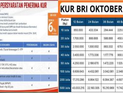 Tabel KUR BRI 2025, Pinjaman Rp10 Juta sampai 200 Juta, Angsuran Mulai 400 Ribuan