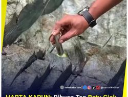 HARTA KARUN: Ribuan Ton Batu Giok Kembali Ditemukan di Hutan Aceh