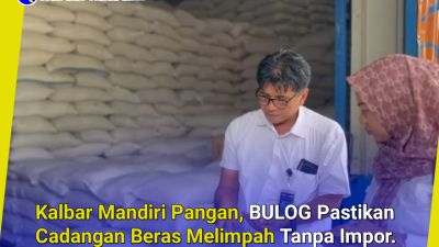 Kalbar Mandiri Pangan, BULOG Pastikan Cadangan Beras Melimpah Tanpa Impor.