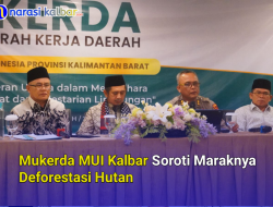 Mukerda MUI Kalbar Soroti Maraknya Deforestasi Hutan