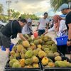 Bazar Durian Jembongko dan Balai Karangan di Pontianak Berikan Garansi Bagi Pembeli