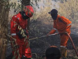 Petugas Temukan Barang Bukti Pembakaran Lahan Berupa Botol Bensin dan Karung Berisi Daun Pisang Kering