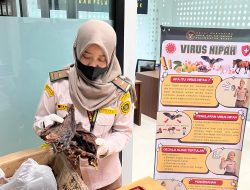 Karantina Kalbar Tahan Daging Kelelawar dan Ikan Asin Di PLBN Aruk