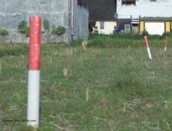 Simak Tips Menjaga Tanah Agar Tidak Diserobot Orang Lain