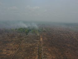 Karhutla Berulang di Konsesi Korporasi: Ribuan Titik Api Ungkap Kegagalan Penegakan Hukum