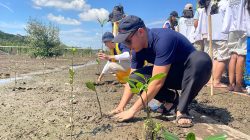 Hijaukan Pesisir, Lions Club Indonesia Tanam 20 Ribu Bibit Mangrove di Pelangi Kapuas Park Kubu Raya