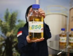 KTB Nilai Kebijakan B50 Berpotensi Picu Deforestasi dan Kenaikan Harga Pangan Nasional