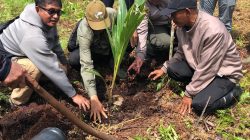 Menyulap Lahan Bekas Terbakar Jadi Pusat Agroforestry di Kubu Raya