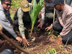 Menyulap Lahan Bekas Terbakar Jadi Pusat Agroforestry di Kubu Raya