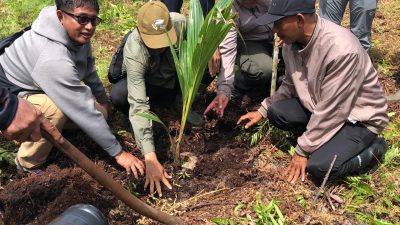 Menyulap Lahan Bekas Terbakar Jadi Pusat Agroforestry di Kubu Raya