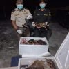 Petugas Karantina Kalbar Gagalkan Peredaran Telur Penyu dan Daging Satwa