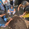Diseminasi Teknologi Budidaya Sayuran Organik Berbasis Pemanfaatan Lahan Pekarangan dan Botol Plastik Bekas