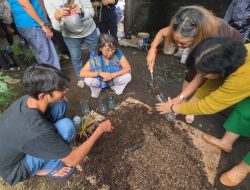 Diseminasi Teknologi Budidaya Sayuran Organik Berbasis Pemanfaatan Lahan Pekarangan dan Botol Plastik Bekas