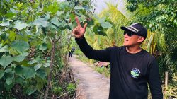 Keseriusan Desa Medan Mas Jaga 182 Hektare Hutan Mangrove Hingga Menarik Wisatawan dari Afrika