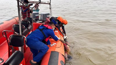 Tim SAR Gabungan Temukan ABK yang Terjatuh di Dermaga TPI Sungai Rengas dalam Kondisi Meninggal Dunia