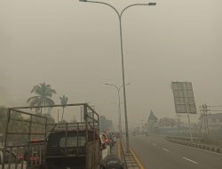 Karhutla Kalbar Tak Boleh Larut: Ketika Kabut Asap Bertemu Krisis Air dan Krisis Sosial