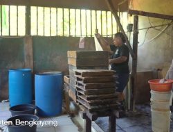 Dari 10 Kg Jadi 250 Kg Per Hari! Kisah Sukses Wahyudin, Perajin Tahu Bengkayang Binaan Bank Kalbar