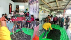 Sekam Jadi “Emas Hitam”: Dosen UPB Ajari Petani Kubu Raya Teknologi Biochar Diperkaya Trichoderma sp., Padi Subur, Kantong Petani Makin Tebal